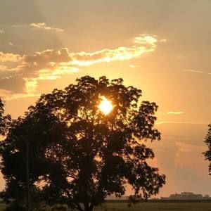 Meet your Posher, Terri gary